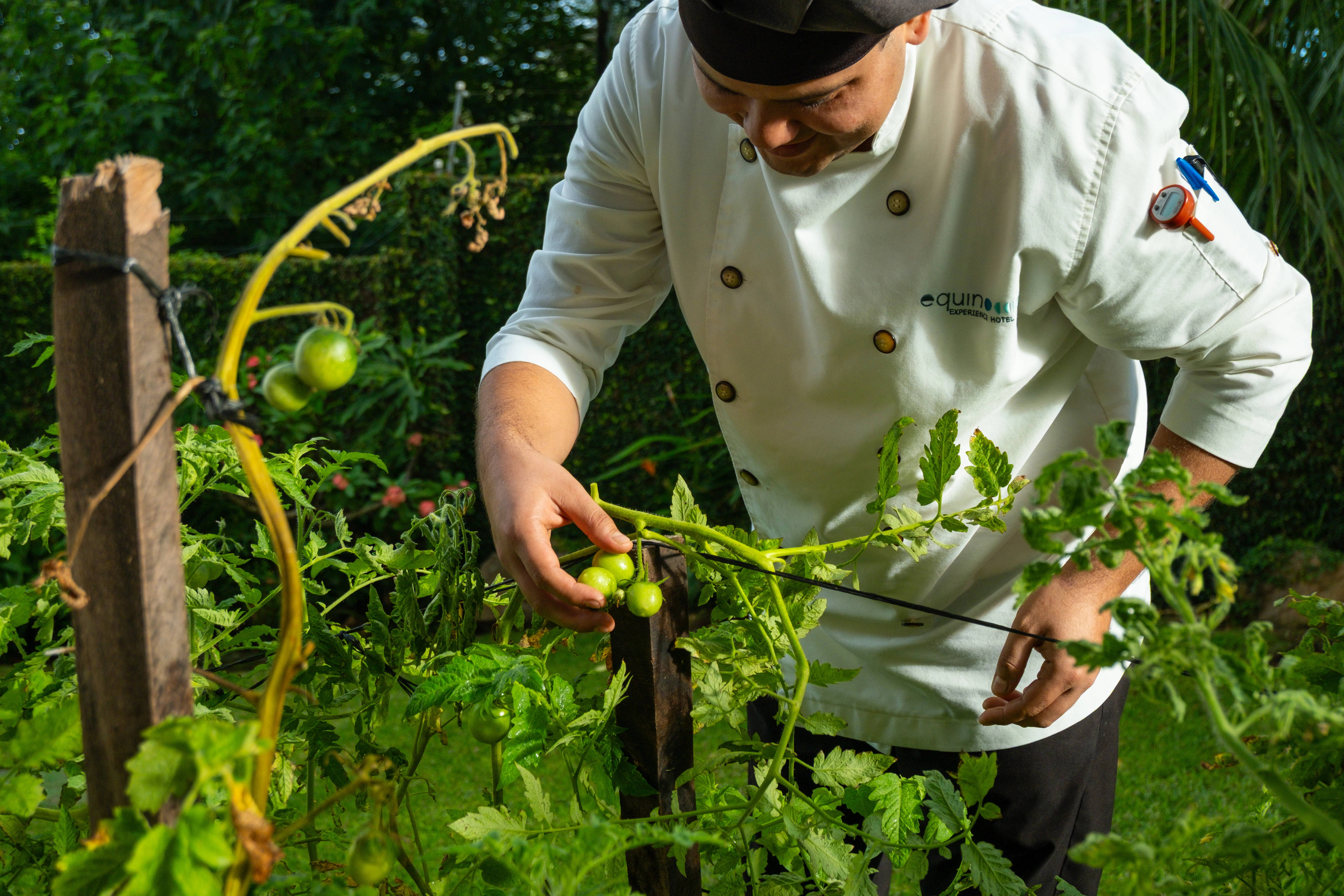 Organic farm Hotel Equinoccio