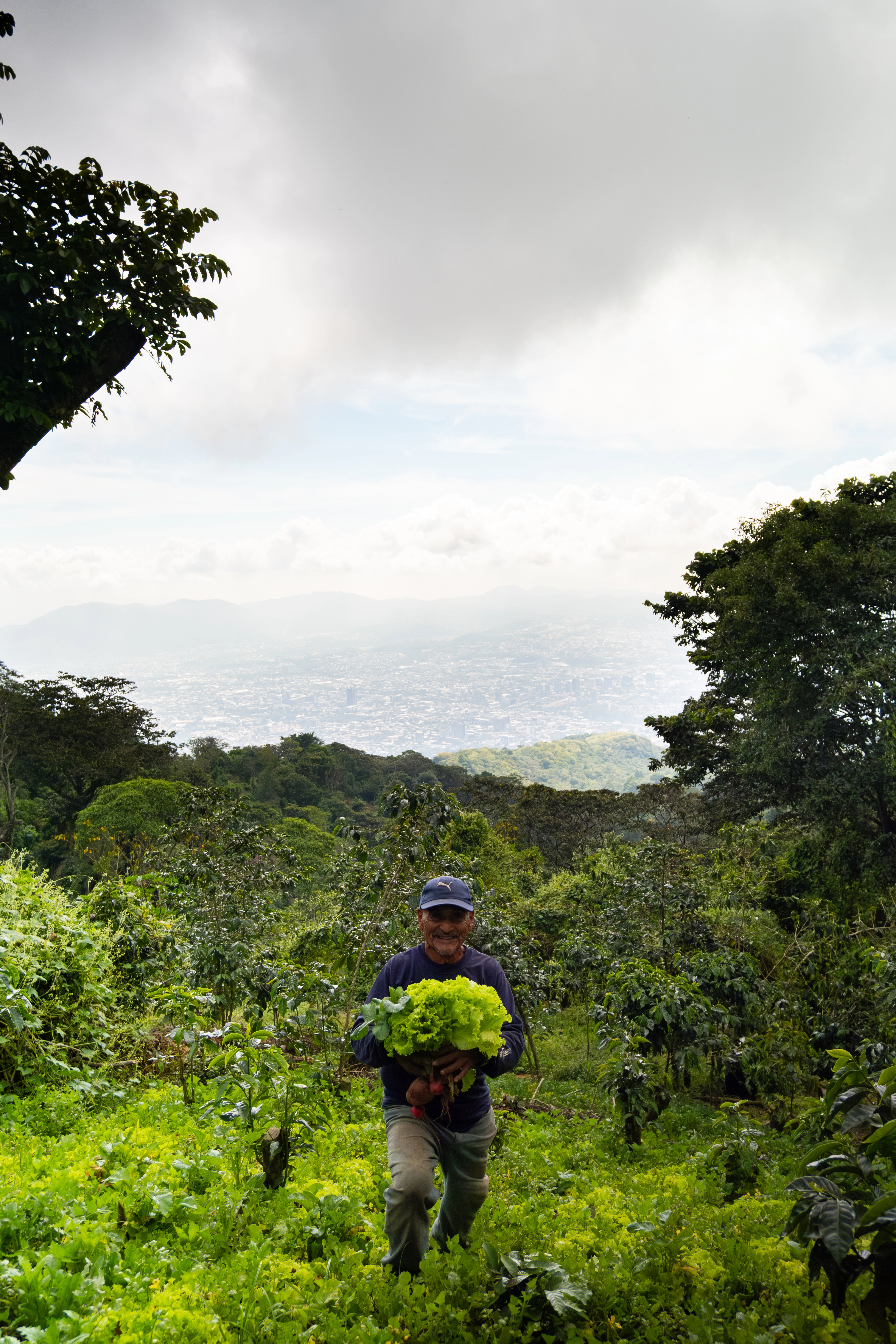 Lake Coatepeque view